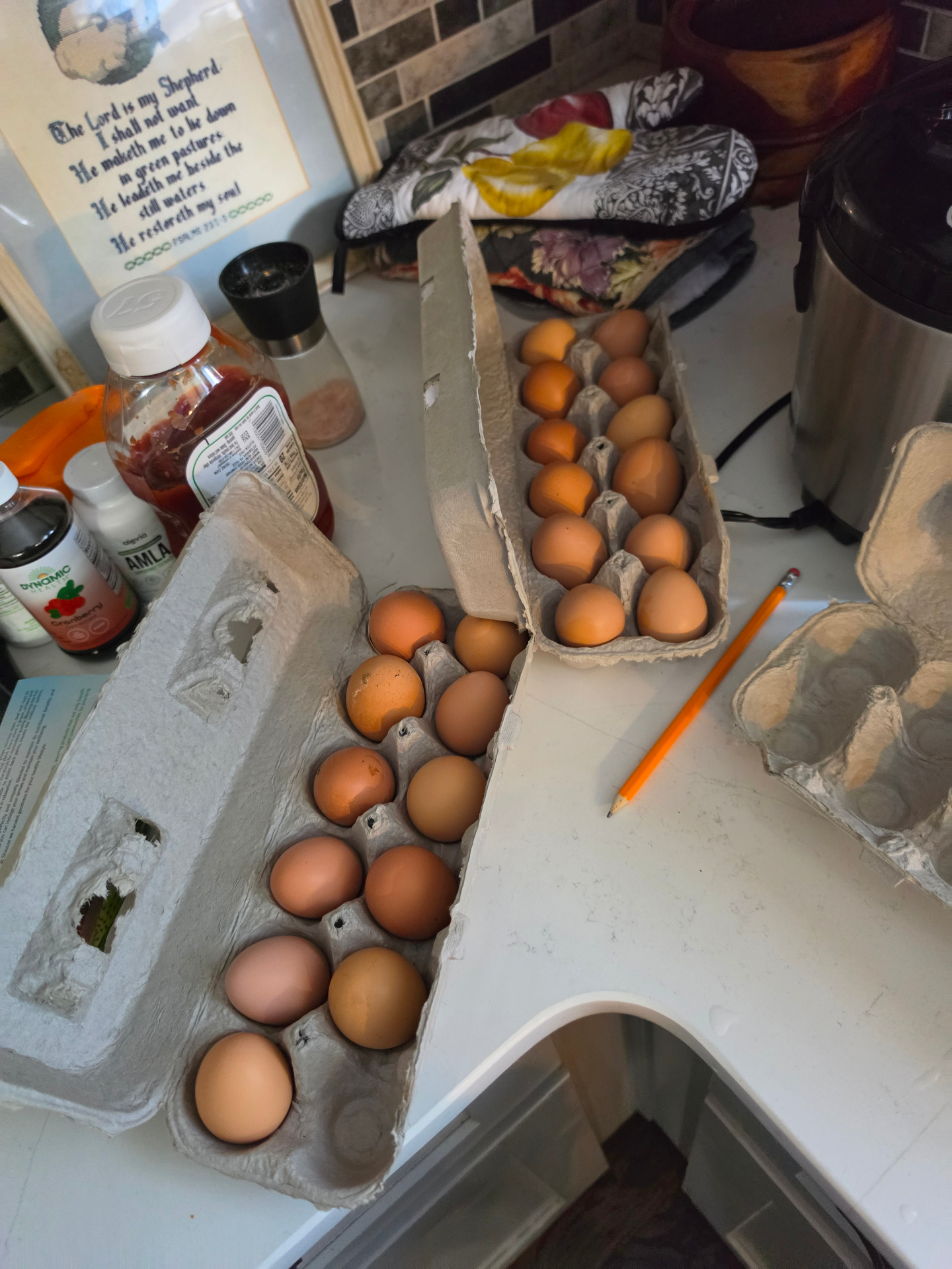 Freshly gathered brown eggs